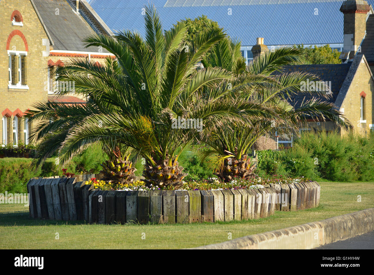 Paesaggistici alberi di palma con un di legno traversina ferroviaria frontiera presso East Cowes lungomare sull'Isola di Wight. Foto Stock