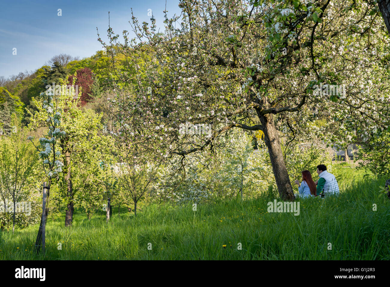 Godendo del sole in primavera, quartiere Lesser di Praga, Repubblica Ceca. Lo sfondo è il Castello di Praga Foto Stock