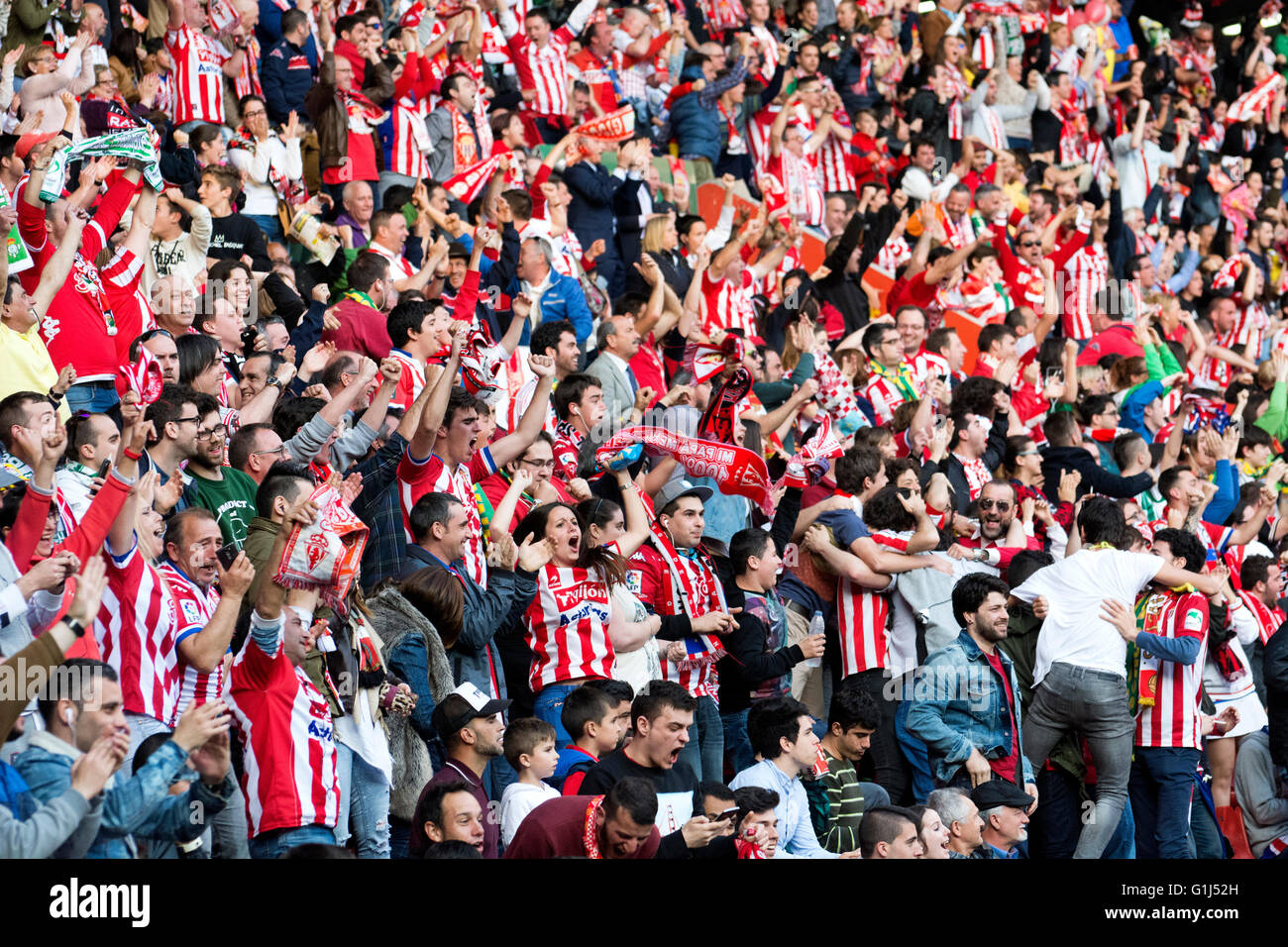 Gijon, Spagna. 15 Maggio, 2016. Sporting de Gijón dei sostenitori di celebrare un obiettivo del Real Betis durante la partita di calcio dell'ultimo round della stagione 2016/2017 del campionato spagnolo "La Liga " tra Real Sporting de Gijón e Villareal CF a Molinón stadio su 15 Maggio 2016 a Gijon, Spagna. Credito: David Gato/Alamy Live News Foto Stock