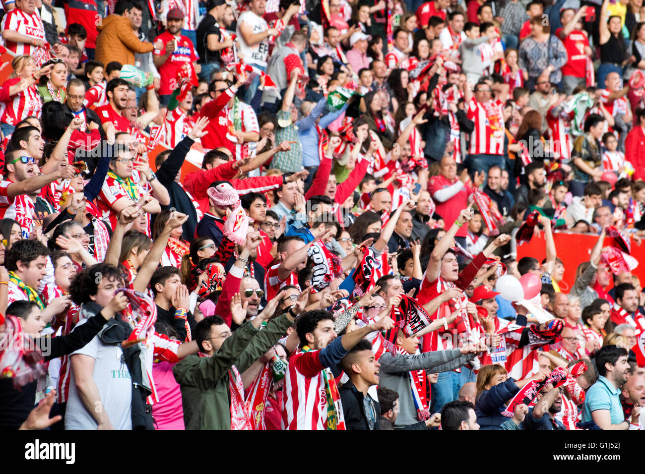 Gijon, Spagna. 15 Maggio, 2016. Sporting de Gijón dei sostenitori di celebrare un obiettivo del Real Betis durante la partita di calcio dell'ultimo round della stagione 2016/2017 del campionato spagnolo "La Liga " tra Real Sporting de Gijón e Villareal CF a Molinón stadio su 15 Maggio 2016 a Gijon, Spagna. Credito: David Gato/Alamy Live News Foto Stock