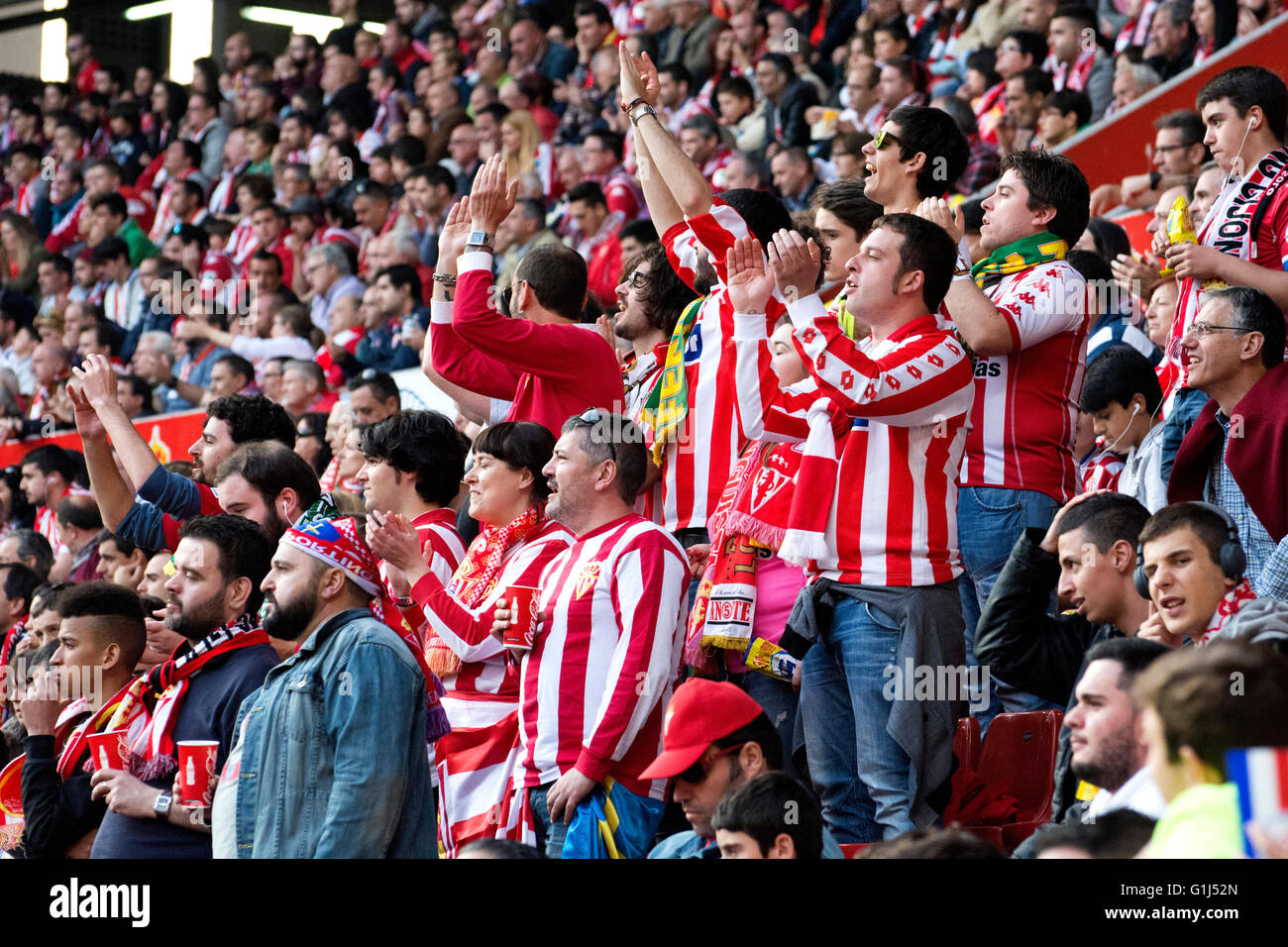 Gijon, Spagna. 15 Maggio, 2016. Sporting de Gijón dei sostenitori di allietare la loro squadra durante la partita di calcio dell'ultimo round della stagione 2016/2017 del campionato spagnolo "La Liga " tra Real Sporting de Gijón e Villareal CF a Molinón stadio su 15 Maggio 2016 a Gijon, Spagna. Credito: David Gato/Alamy Live News Foto Stock