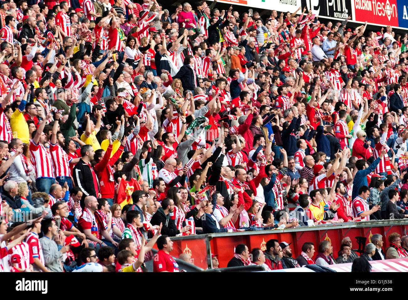 Gijon, Spagna. 15 Maggio, 2016. Sporting de Gijón dei sostenitori di celebrare il secondo obiettivo della loro squadra durante la partita di calcio dell'ultimo round della stagione 2016/2017 del campionato spagnolo "La Liga " tra Real Sporting de Gijón e Villareal CF a Molinón stadio su 15 Maggio 2016 a Gijon, Spagna. Credito: David Gato/Alamy Live News Foto Stock
