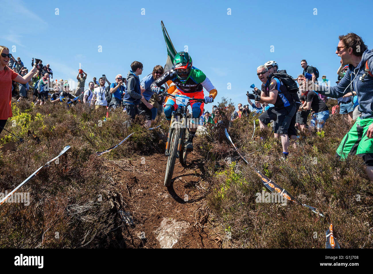 Carrick Mountain, Co Wicklow, Irlanda. 15th maggio 2016. Emerald Enduro World Series mountain bike Downhill racing on Carrick Mountain in County Wicklow è stato, Greg Callaghan, dall'Irlanda, sulla strada per vincere la gara maschile. Foto Stock