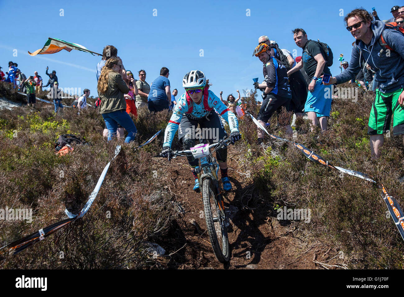 Carrick Mountain, Co Wicklow, Irlanda. 15th maggio 2016. Emerald Enduro World Series mountain bike Downhill racing on Carrick Mountain in County Wicklow è stato, Tracey Moseley dal Regno Unito, sulla strada per vincere la gara femminile. Foto Stock Carrick Mountain, Co Wicklow, Irlanda. 15th maggio 2016. Emerald Enduro World Series mountain bike Downhill racing on Carrick Mountain in County Wicklow è stato, Tracey Moseley dal Regno Unito, sulla strada per vincere la gara femminile. Foto Stock