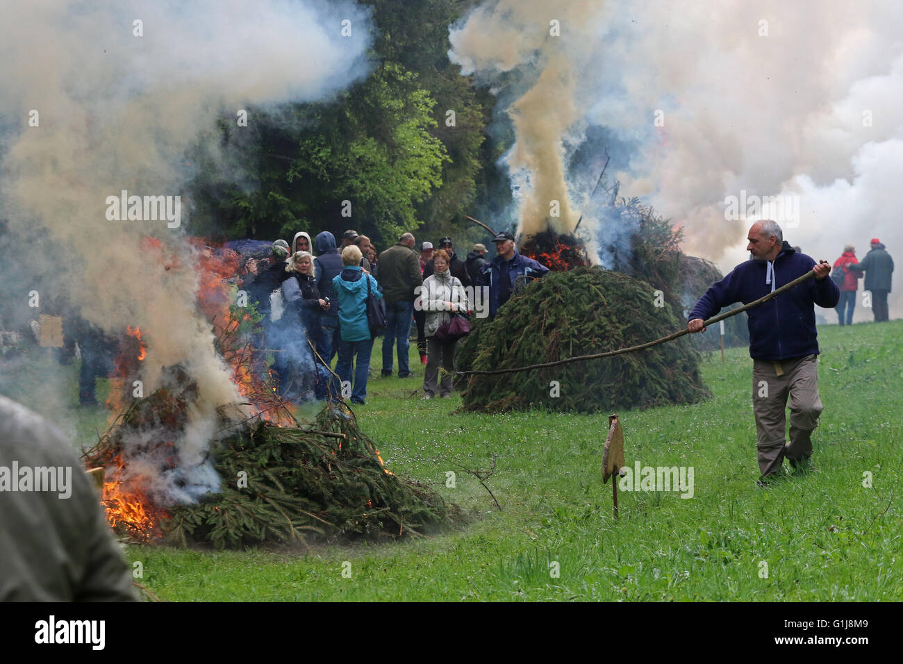 Benneckenstein, Germania. 16 Maggio, 2016. Il fuoco della Pentecoste è impostata dopo il tradizionale Finch manovra della foresta in Benneckenstein, Germania, 16 maggio 2016. Fringuelli in gabbie rivestito in tessuto bianco ha cantato in precedenza in un concorso sotto la carica di una giuria di esperti. Foto: MATTHIAS BEIN/dpa/Alamy Live News Foto Stock