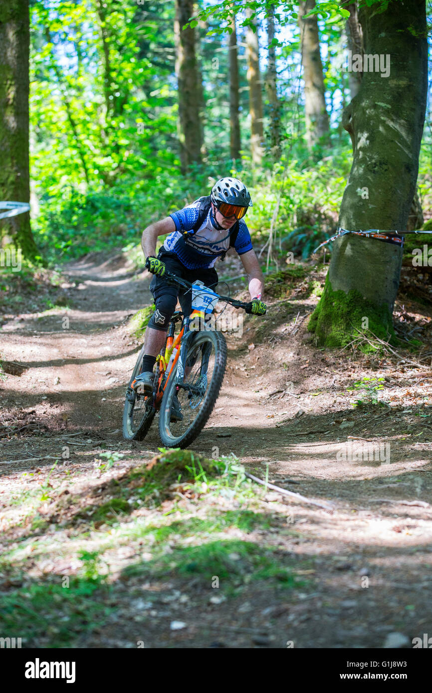 mountain bike Foto Stock