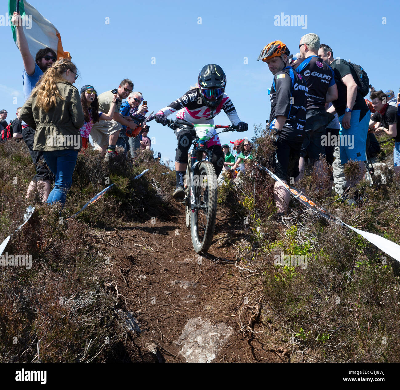 Carrick Mountain, County Wicklow, UK. 15 Maggio, 2016. Foto di competere nel Emerald Enduro World Series mountain bike downhill racing sulla montagna di Michael Carrick nella contea di Wicklow è stata, Rae Morrison, dalla Nuova Zelanda, che hanno gareggiato nella gara femminile. Credito: Pietro Cavanagh/Alamy Live News Foto Stock