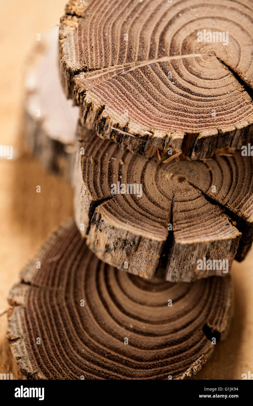Dettaglio di una pila di log in profondità di campo in un workshop di falegname Foto Stock
