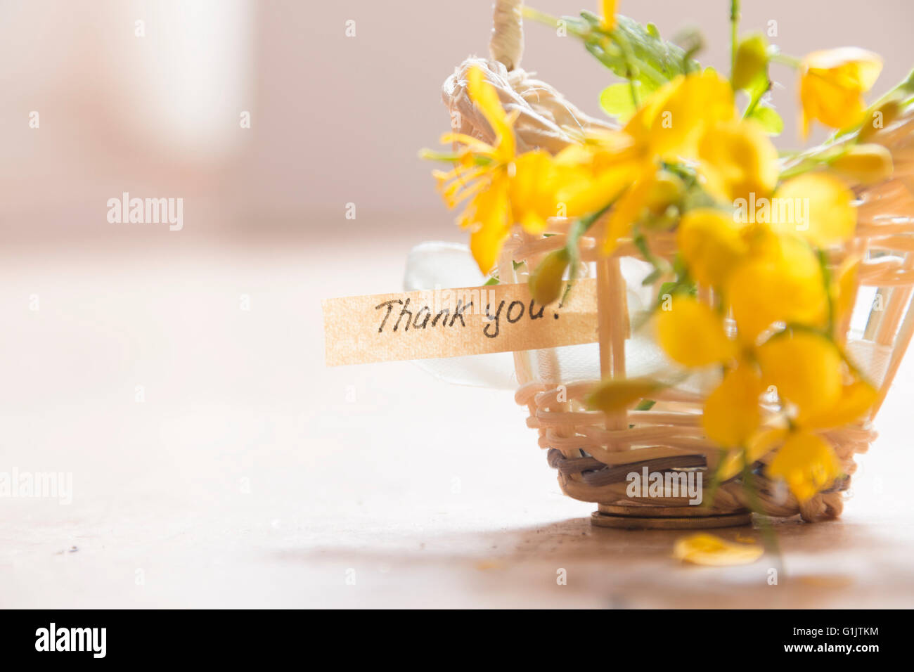 Grazie idea Foto Stock