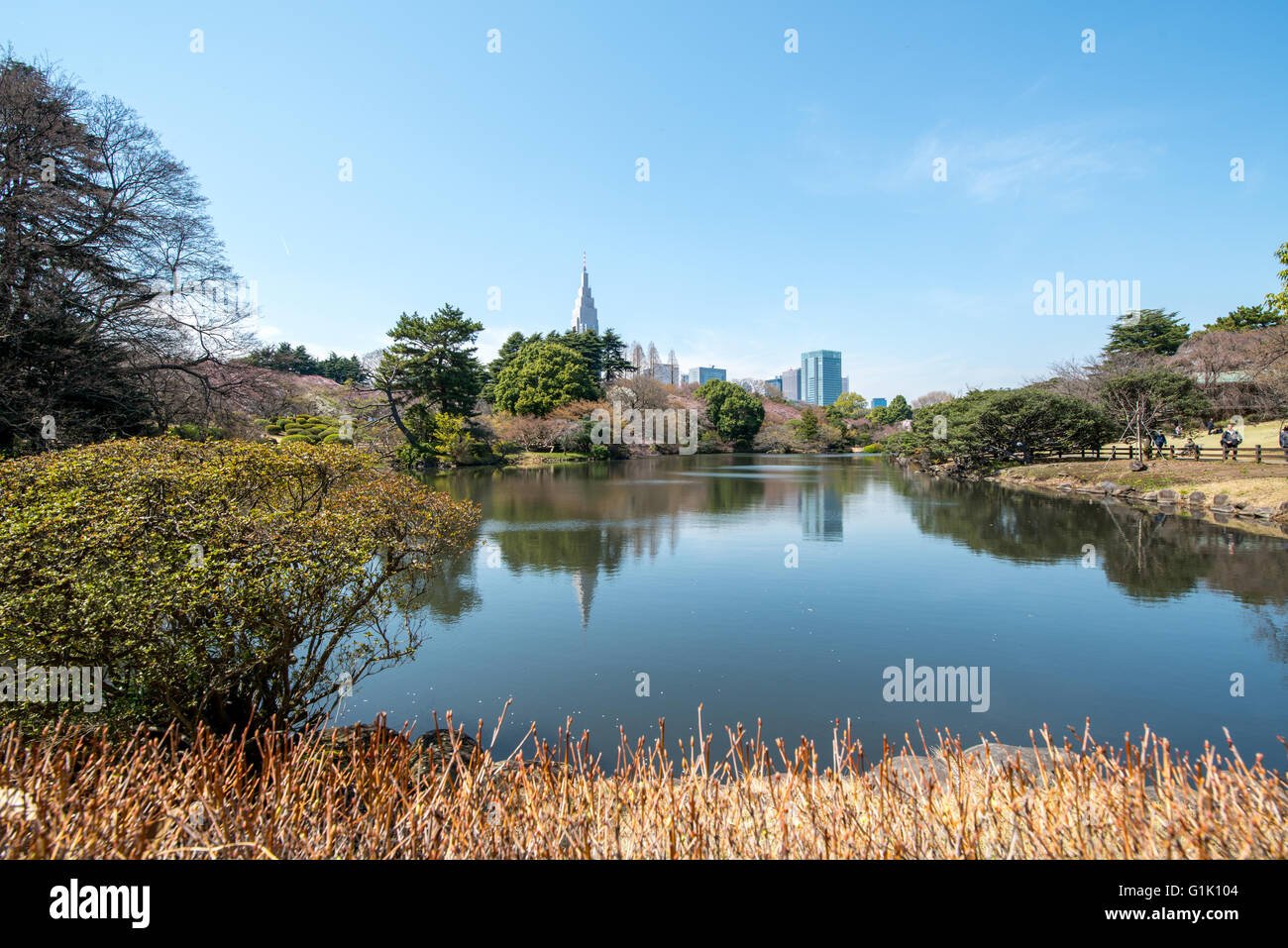 Ancora acqua sul lago del parco di Tokyo Foto Stock