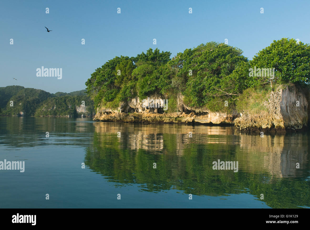 Isole calcaree o 'mogotes', Parco Nazionale Los Haitises, Repubblica Dominicana Foto Stock