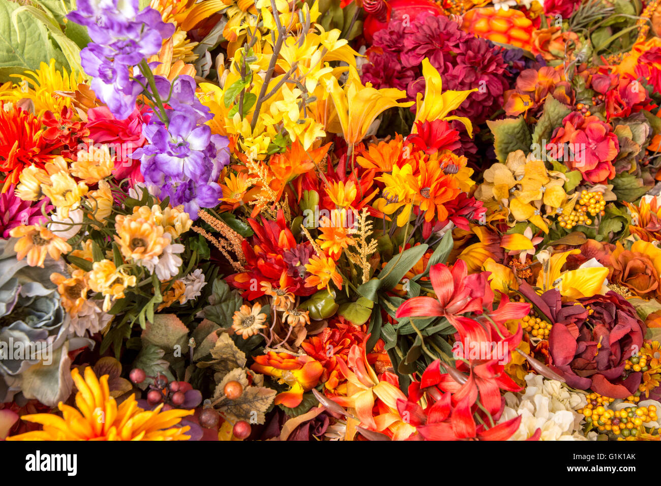 Cluster di grandi dimensioni di vibranti fiori colorati al mercato Foto Stock