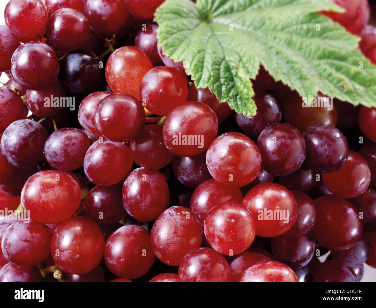 Close up di un mazzetto di fresca uva rossa con foglie Foto Stock