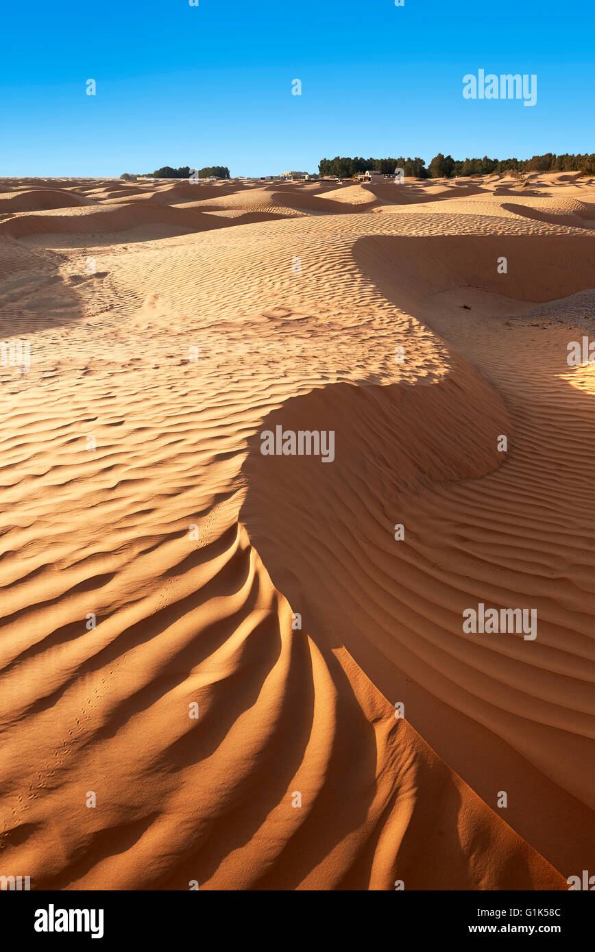 Il deserto del Sahara dune di sabbia di Erg Orientale nei pressi dell'oasi di Ksar Ghilane, Tunisia, Africa Foto Stock