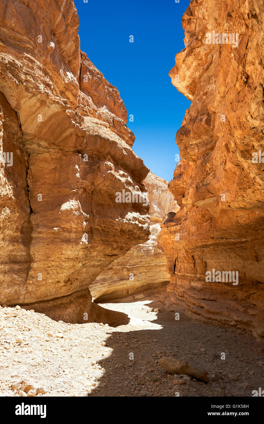 Il canyon del deserto vicino al Sahara oasi di Mides, Tunisia, Nord Africa Foto Stock