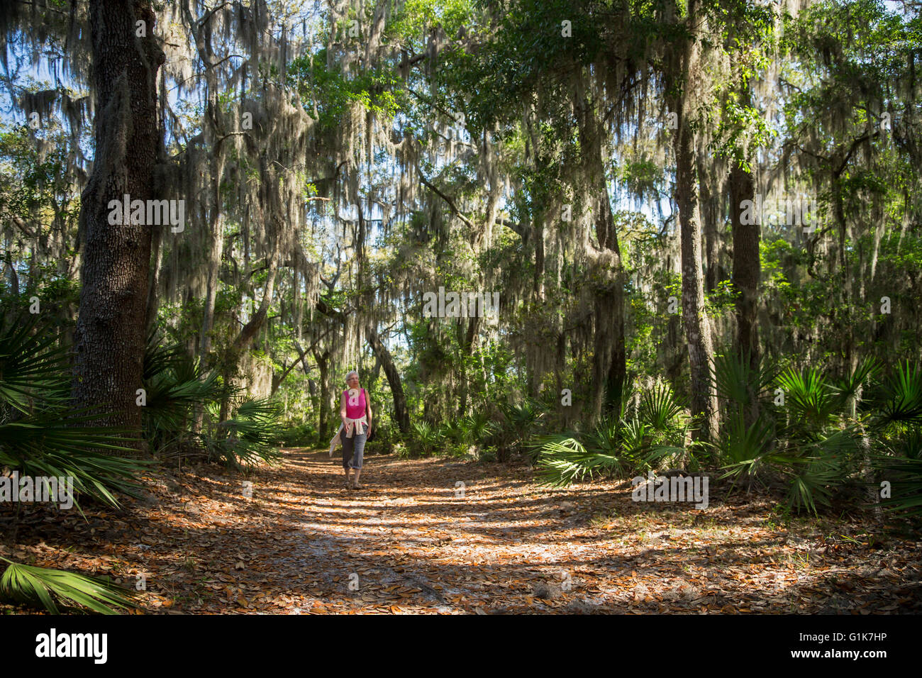 Jacksonville, Florida - Susan Newell, 67, passeggiate sotto muschio Spagnolo su un sentiero in Timucuan ecologiche e preservare storico. Foto Stock