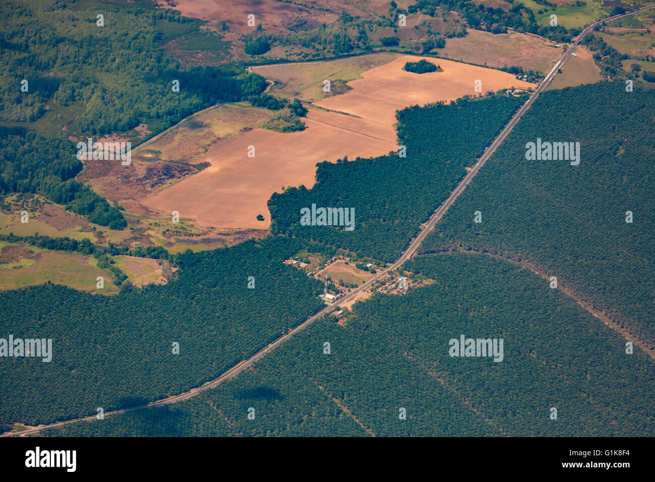 COSTA RICA - Vista aerea di olio di palma plantation Foto Stock