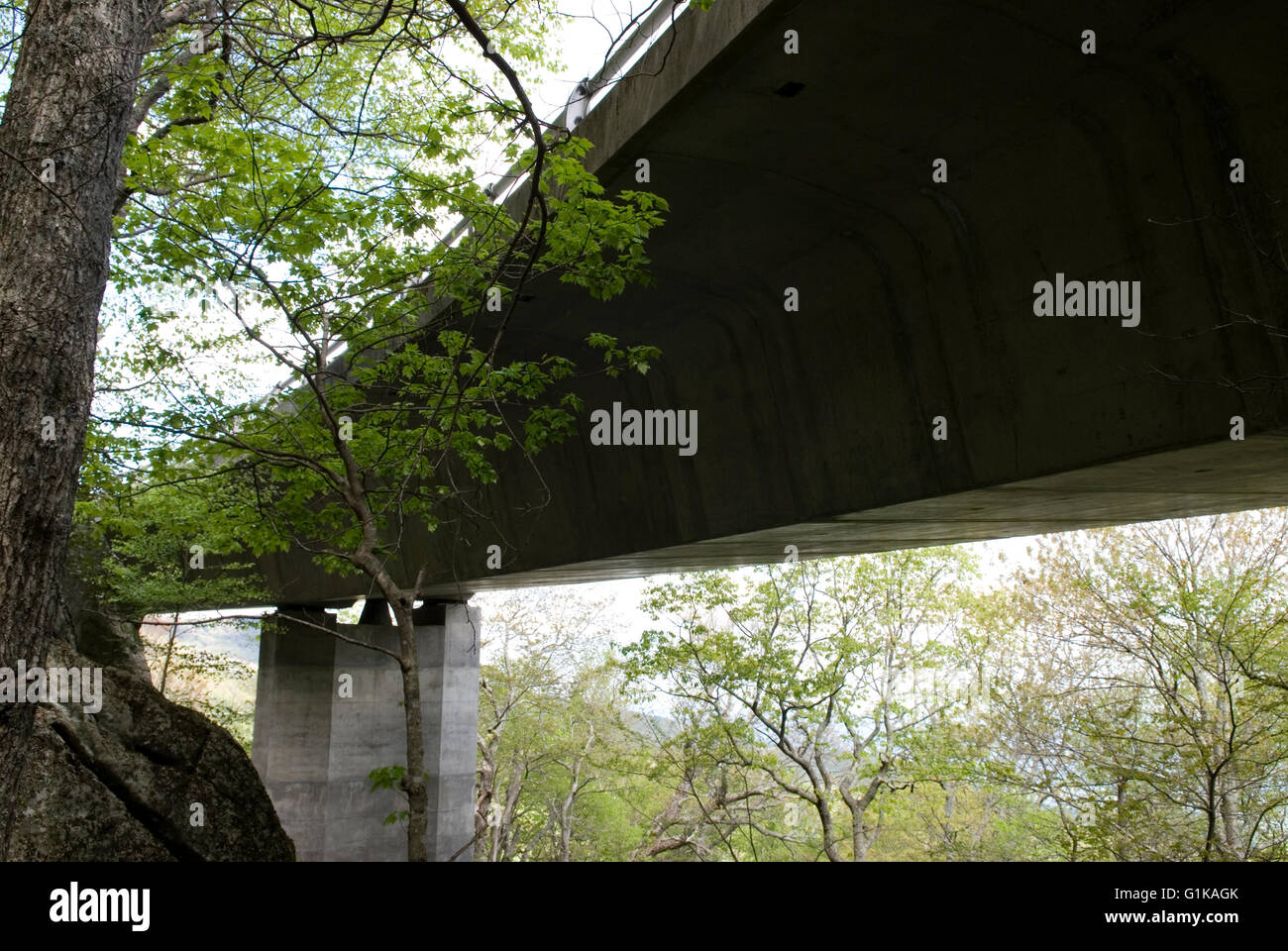 Linn Cove viadotto Carolina del Nord STATI UNITI D'AMERICA Foto Stock