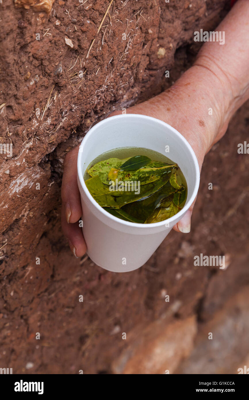 Tazza di tè di coca è un rimedio per combattere il malessere da altitudine in Perù Foto Stock