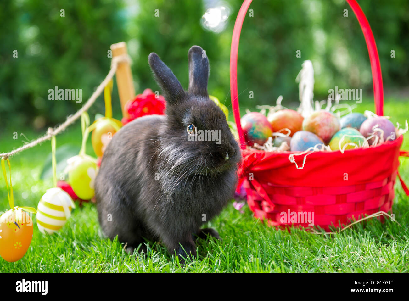 Il Coniglio di Pasqua e uova di pasqua nella giornata di primavera Foto Stock