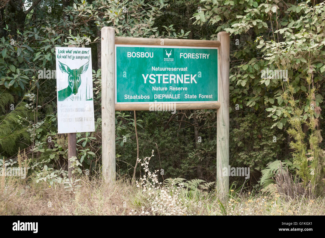 KNYSNA, SUD AFRICA - 5 Marzo 2016: un nome scheda per la Ysternek Riserva naturale nella foresta di Knysna Foto Stock