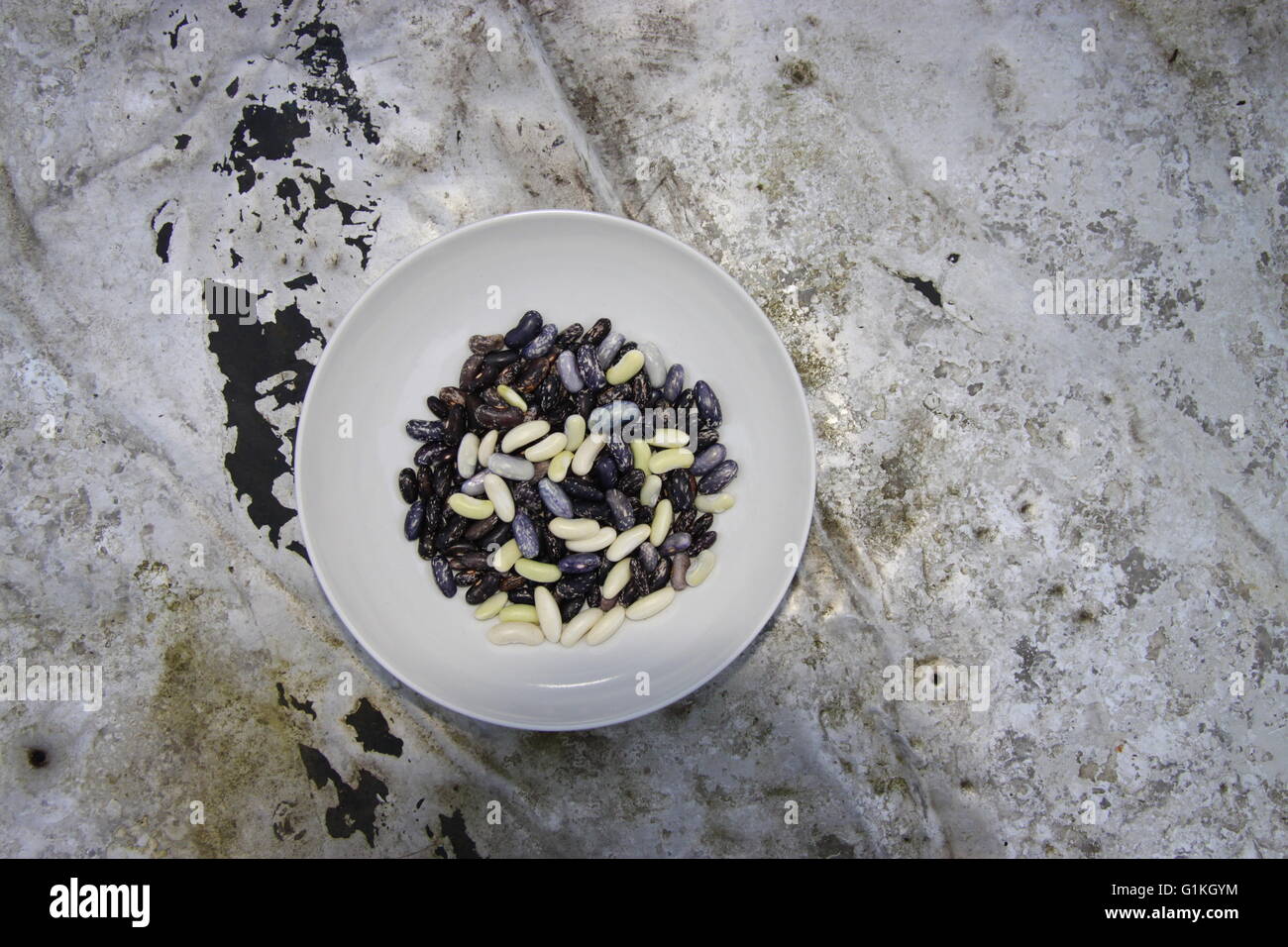 Borlotti e fagioli bianchi appena raccolto nel recipiente sul vecchio retrò tavolo in metallo. Foto Stock