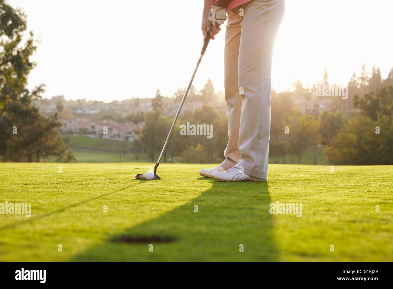 Chiusura del golfista maschio allineando il Putt su verde Foto Stock