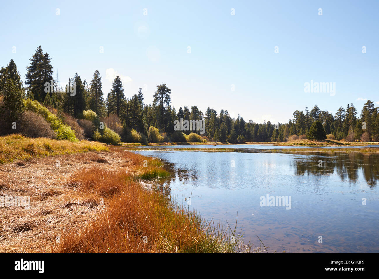 Il lago e il paesaggio, Bluff Lago, Big Bear, CALIFORNIA, STATI UNITI D'AMERICA Foto Stock