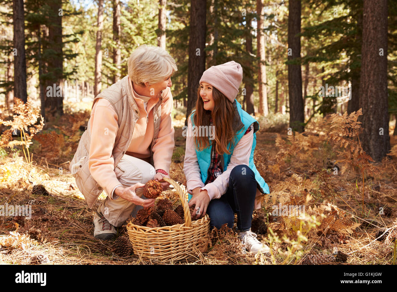 Nonna e nipote di raccogliere pigne in foresta Foto Stock
