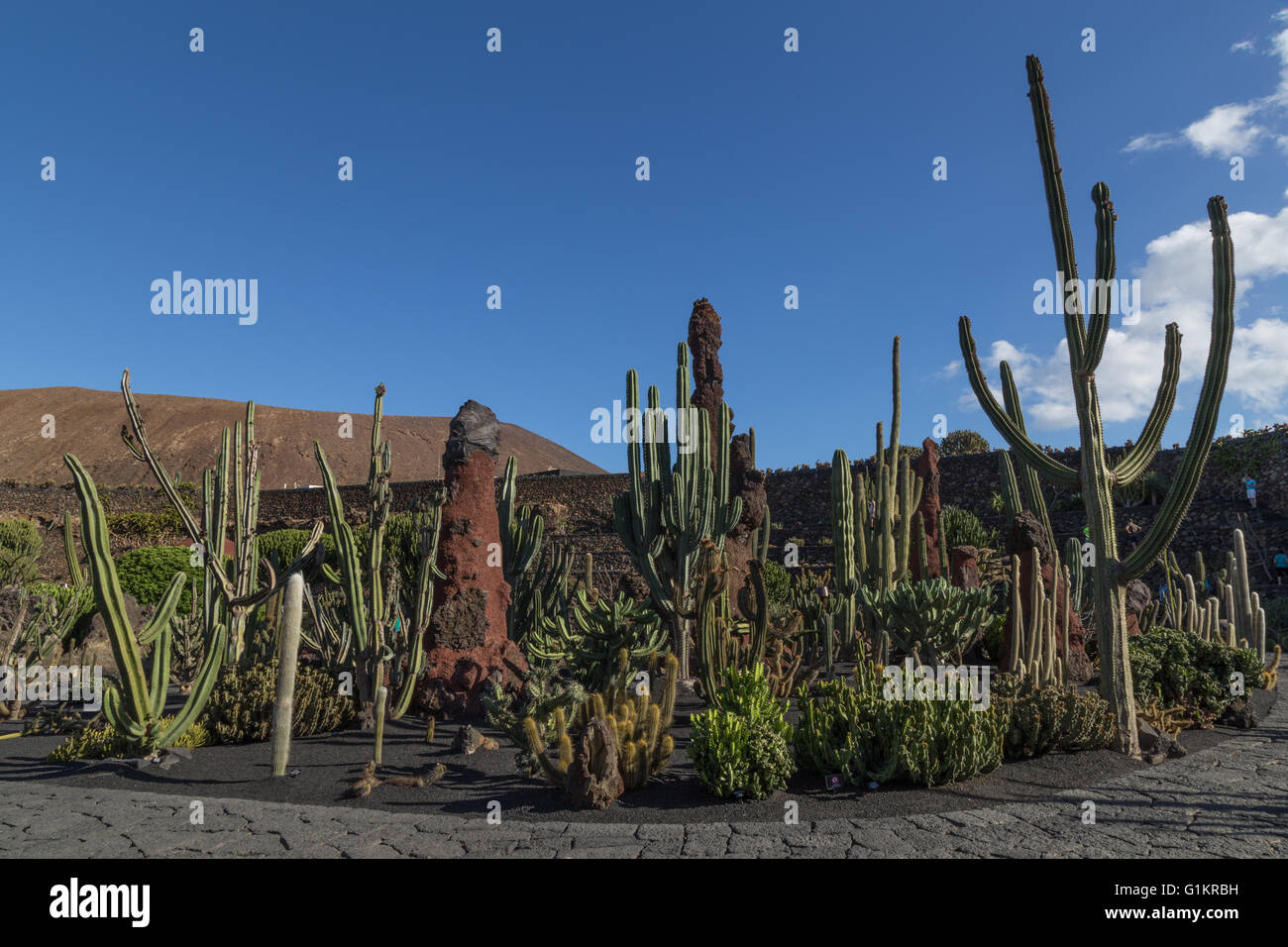 Lanzarote il Giardino dei Cactus. Progettato da César Manrique. Foto Stock
