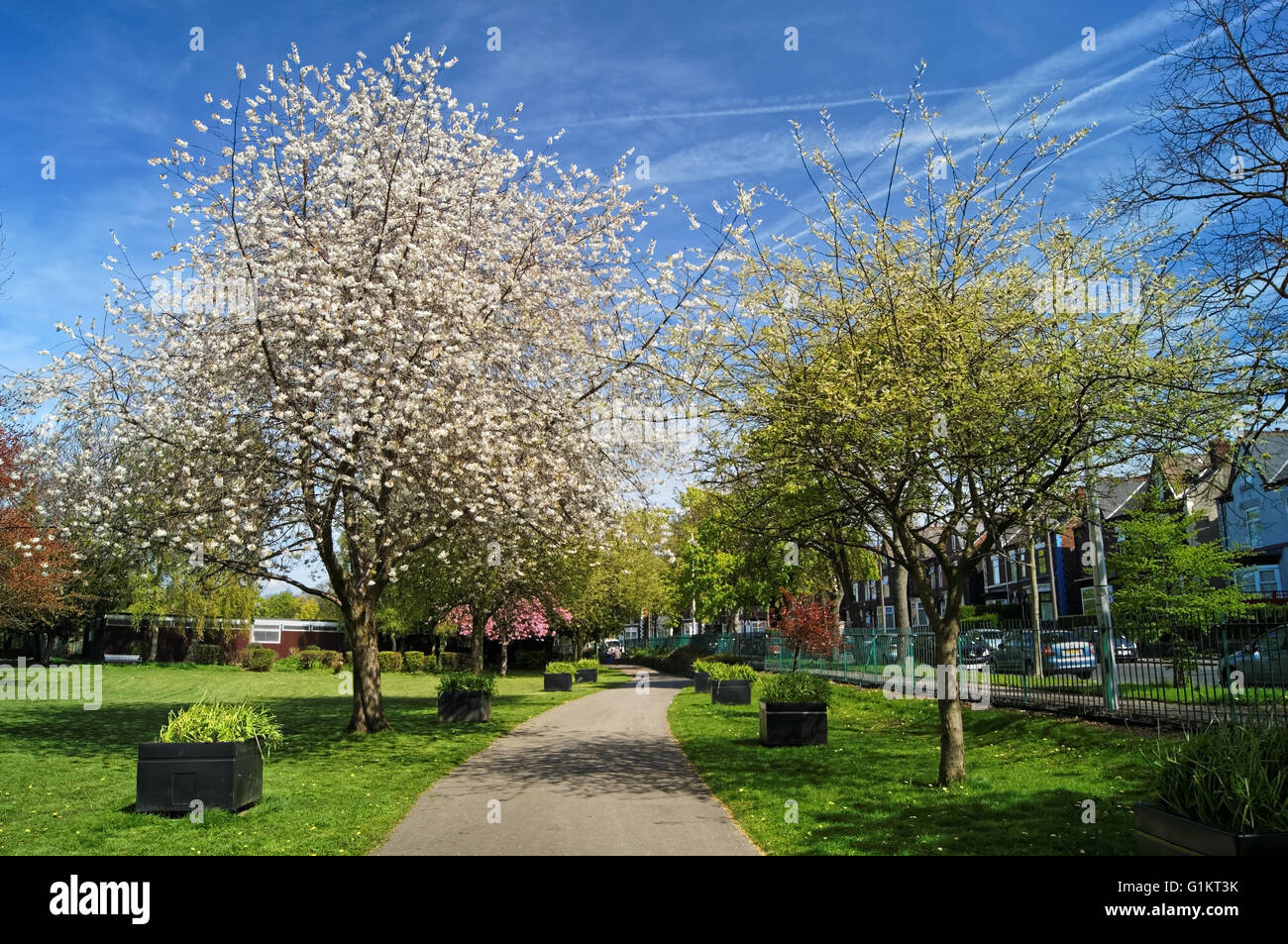 UK,South Yorkshire,Sheffield,Firth Parco in primavera Foto Stock