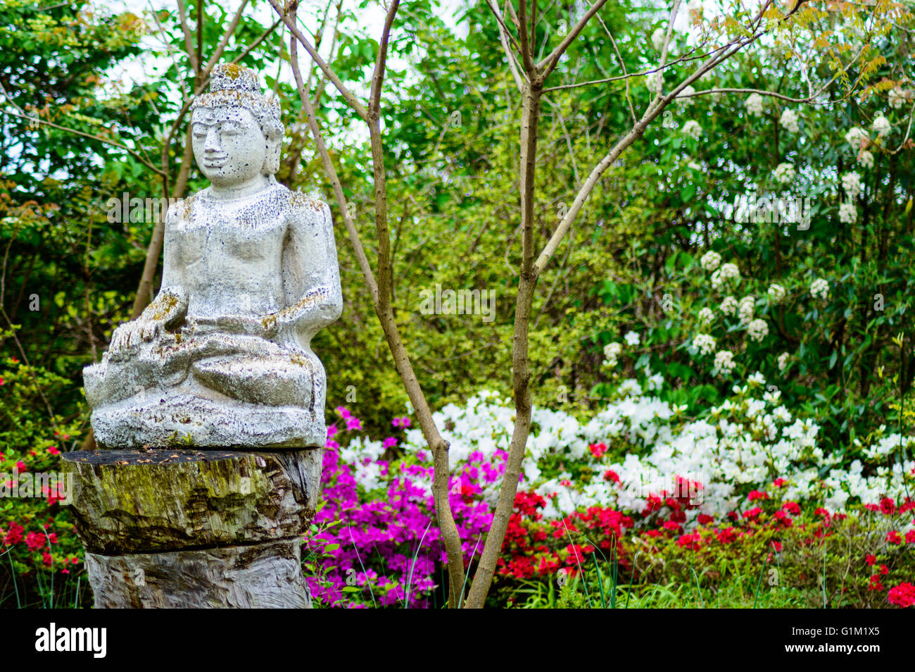 Asian statua si trova sulla cima di una collina ai piedi di un tempio Foto Stock