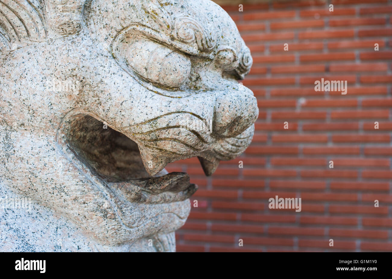 Scultura di granito di cinese tradizionale lion faccia chiudere il fuoco selettivo Foto Stock