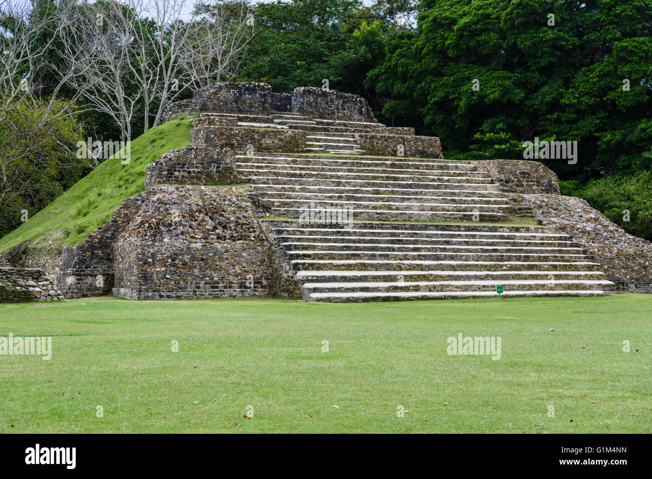Tempio di verde Tome chiamato anche tempio A1. Altun ha luogo storico. Distretto del Belize, Belize Foto Stock