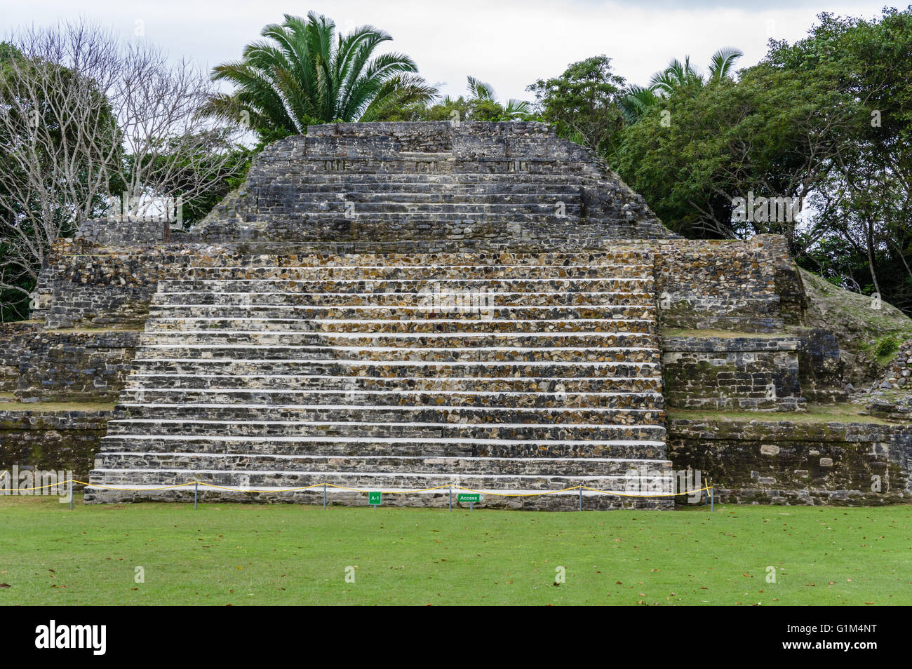 Le scale conducono alla sommità del tempio della tomba verde o sito A1. Altun ha luogo storico. Distretto del Belize, Belize Foto Stock