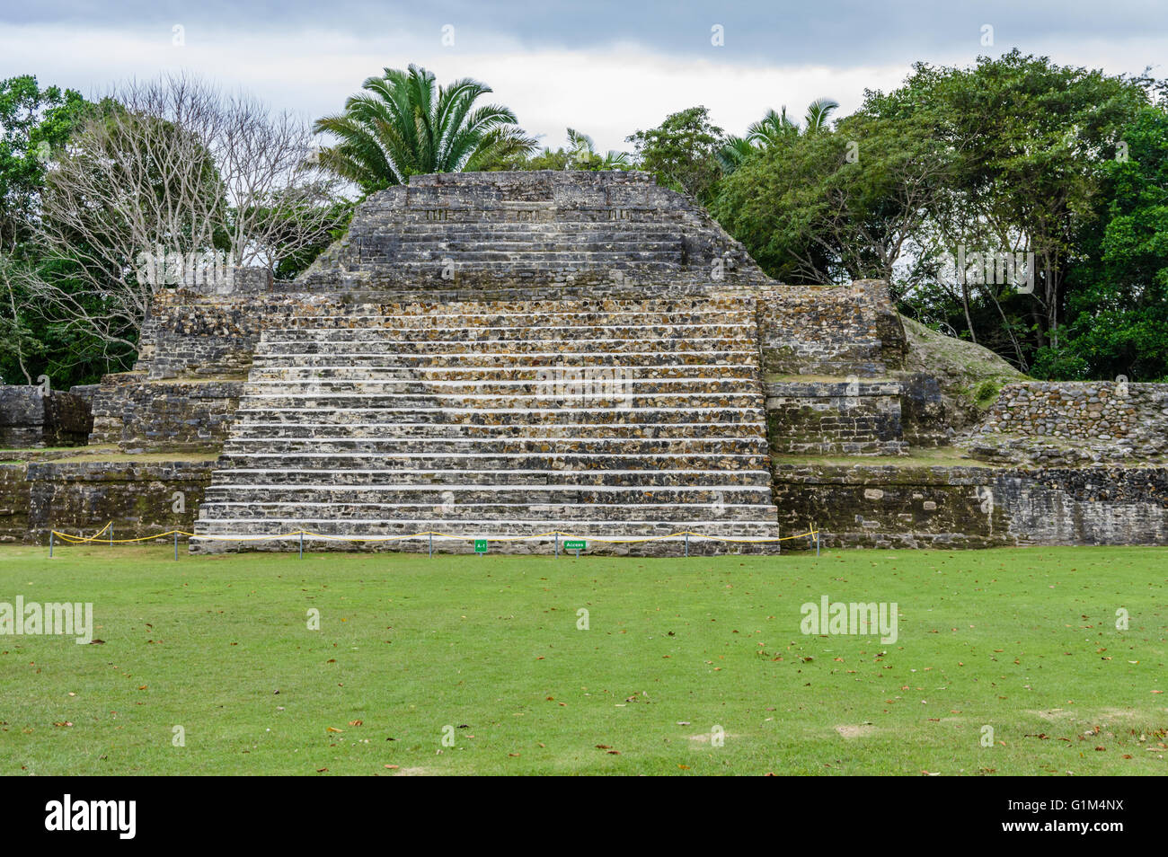 Le scale conducono alla sommità del tempio della tomba verde o sito A1. Altun ha luogo storico. Distretto del Belize, Belize Foto Stock