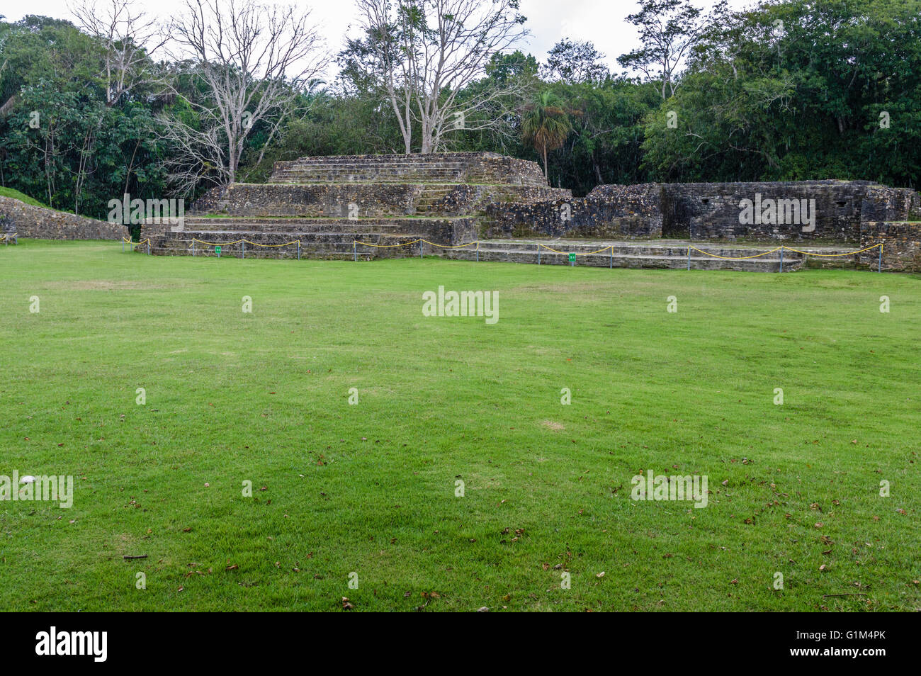 Vista di siti B5 e B6 da Plaza B. Altun ha luogo storico. Distretto del Belize, Belize Foto Stock