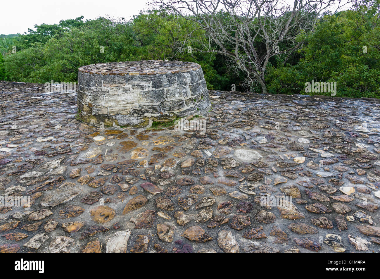 Altare in muratura in cima al tempio Maya della muratura altari. Altun ha luogo storico. Distretto del Belize, Belize Foto Stock