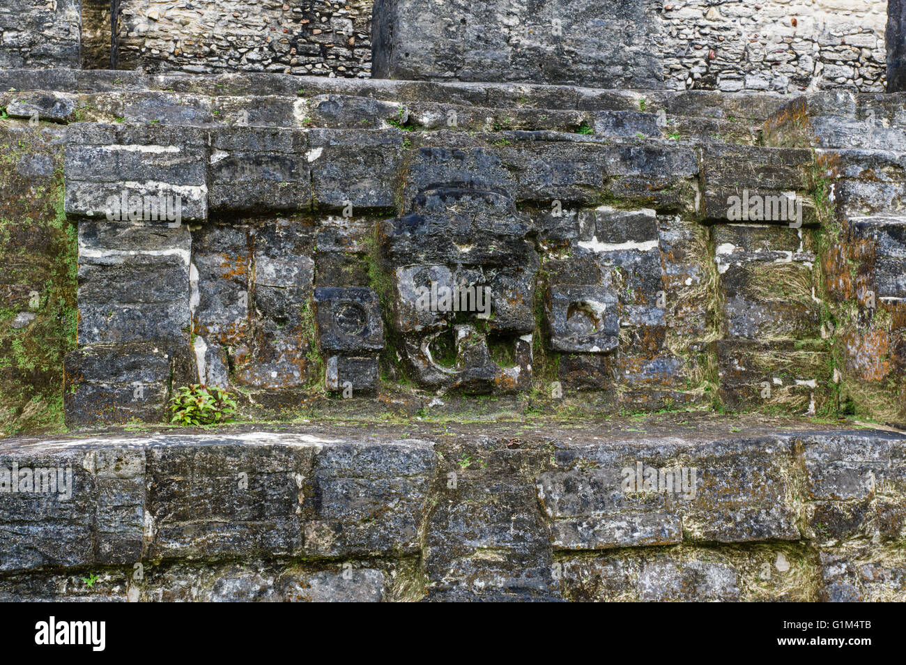 Dettaglio di pietra scolpita muratura su per le scale del tempio di muratura altari. Altun ha luogo storico. Distretto del Belize, Belize Foto Stock