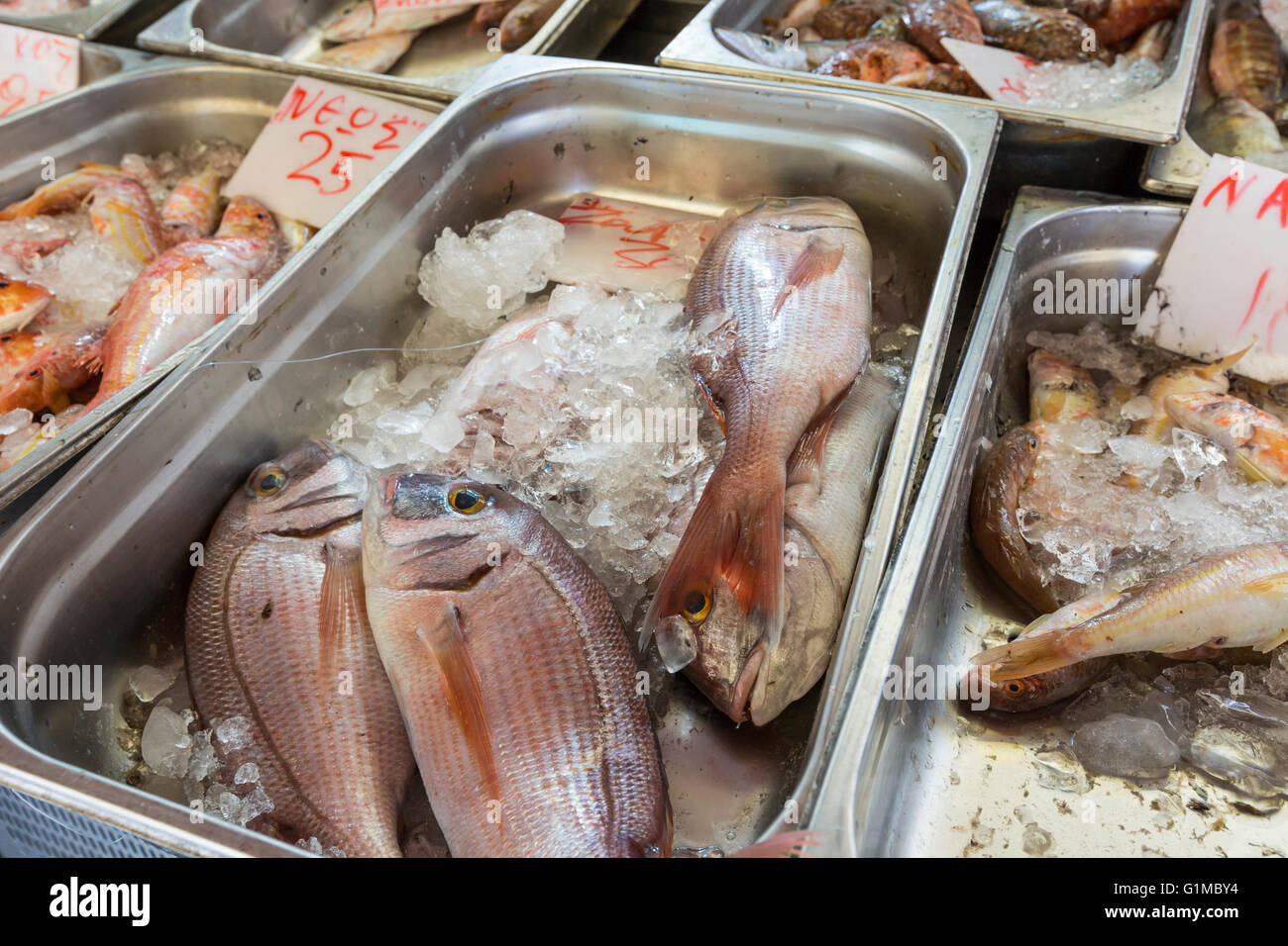Pesce fresco al mercato del pesce - Grecia Foto Stock