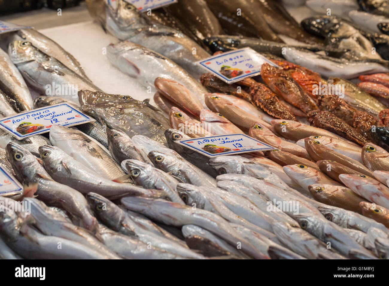 Pesce fresco al mercato del pesce - Grecia Foto Stock