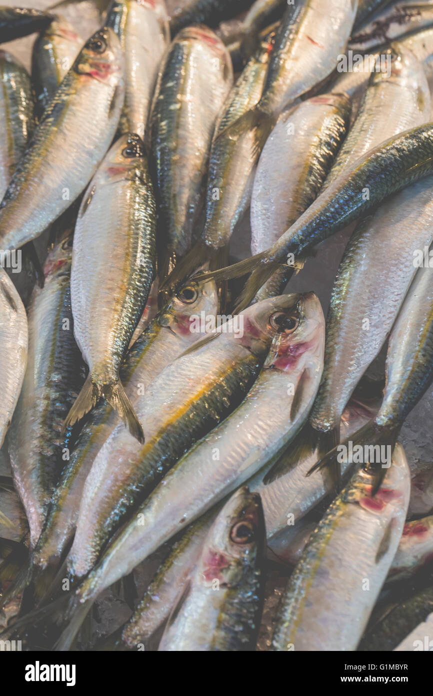Pesce fresco al mercato del pesce - Grecia Foto Stock