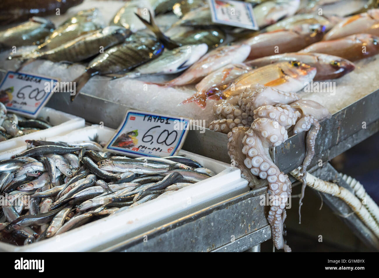 Pesce fresco al mercato del pesce - Grecia Foto Stock