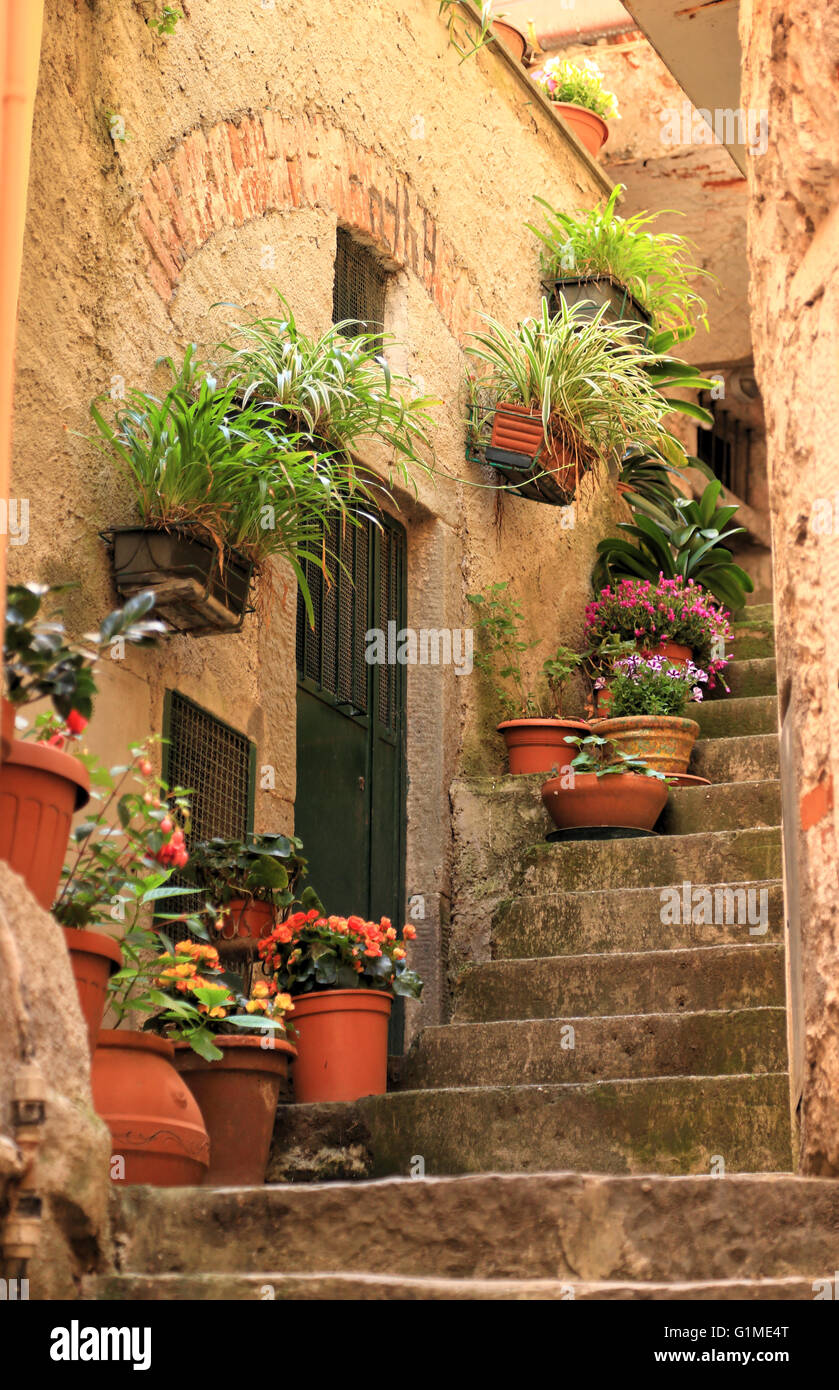 Piccola stradina a Riomaggiore, cinque Terre, Italia Foto Stock