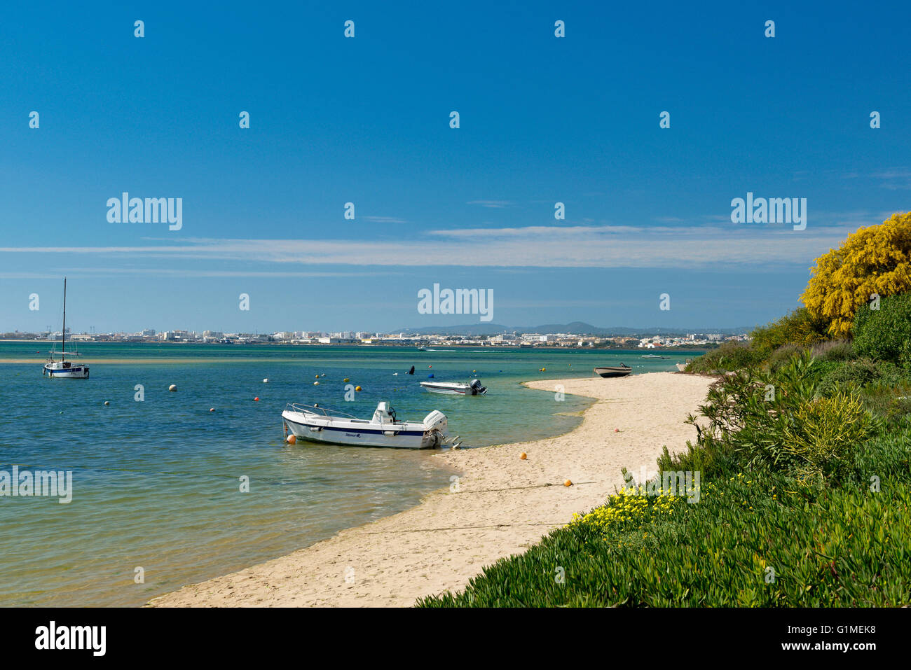 Spiaggia Armona in primavera la Ilha de Armona, Olhao, Algarve Orientale, Portogallo Foto Stock