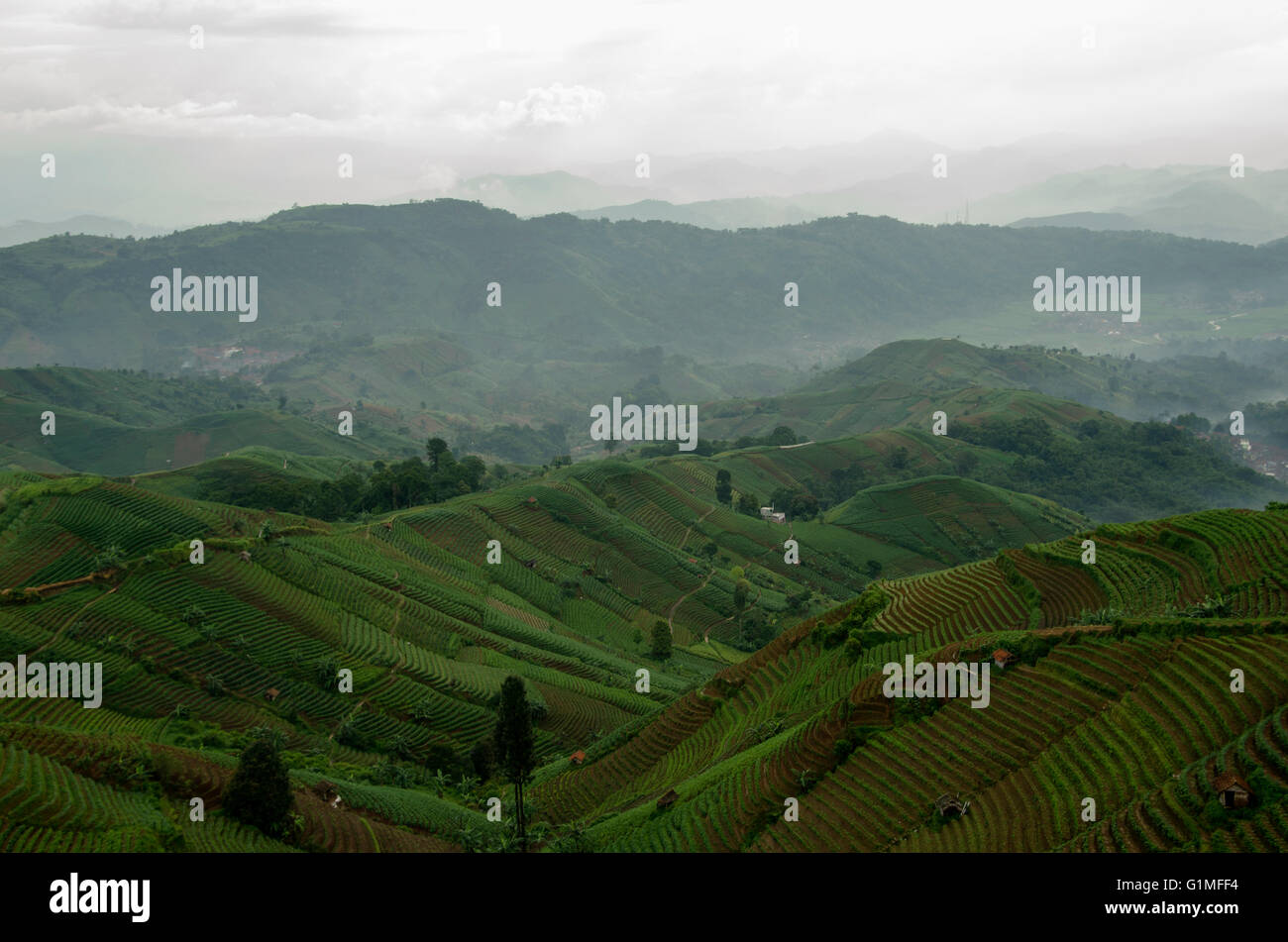 Le terrazze di Panyaweuyan Argapura si trovano proprio a Sukasari Kidul, Argapura, Sukasari Kidul, Argapura, Majalengka Regency, West Java. Foto Stock