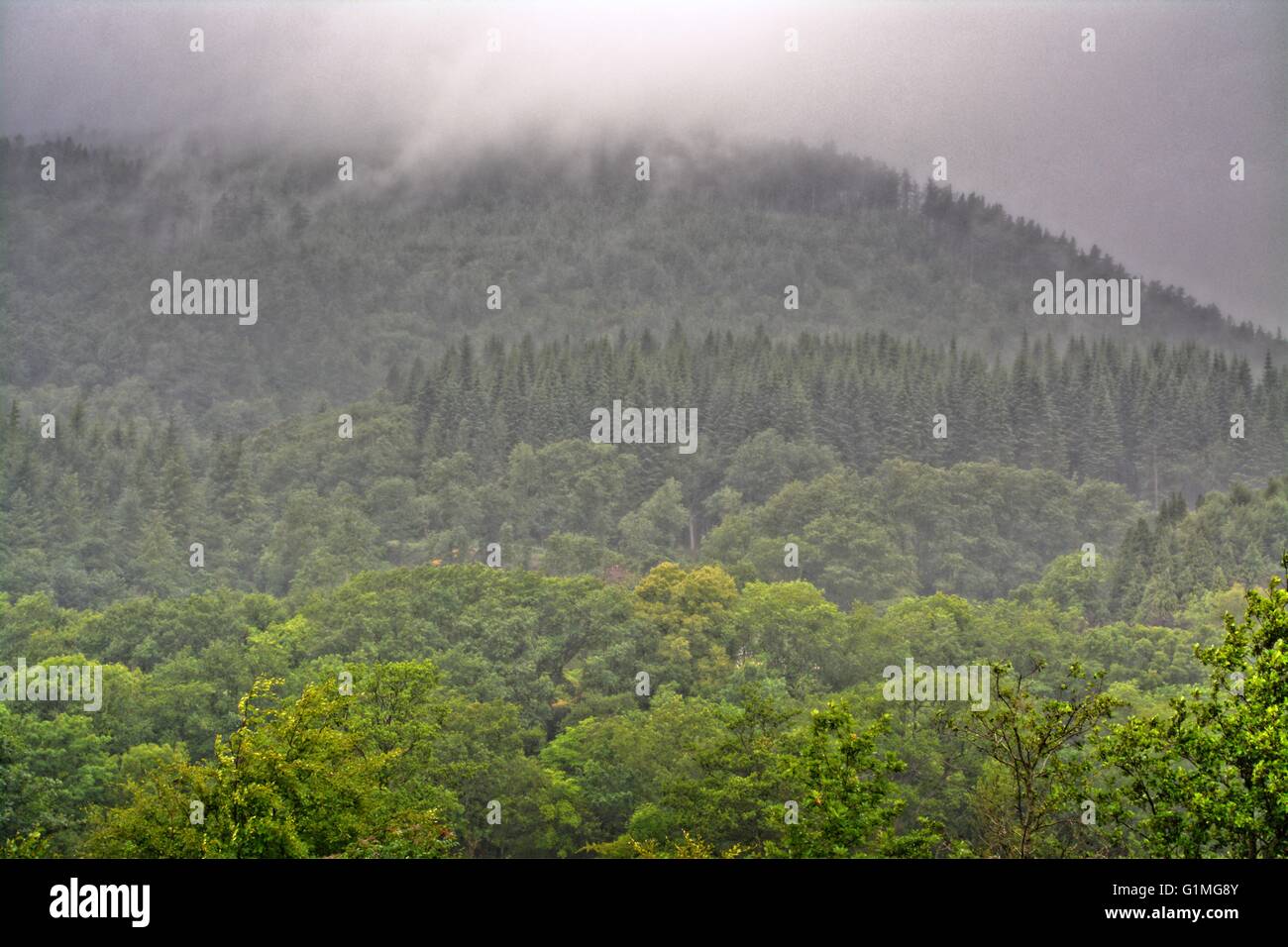 Swansea, Galles. Le montagne e le colline di Swansea, Natura e parchi nazionali del Galles, Brecon National Park, Regno Unito Foto Stock