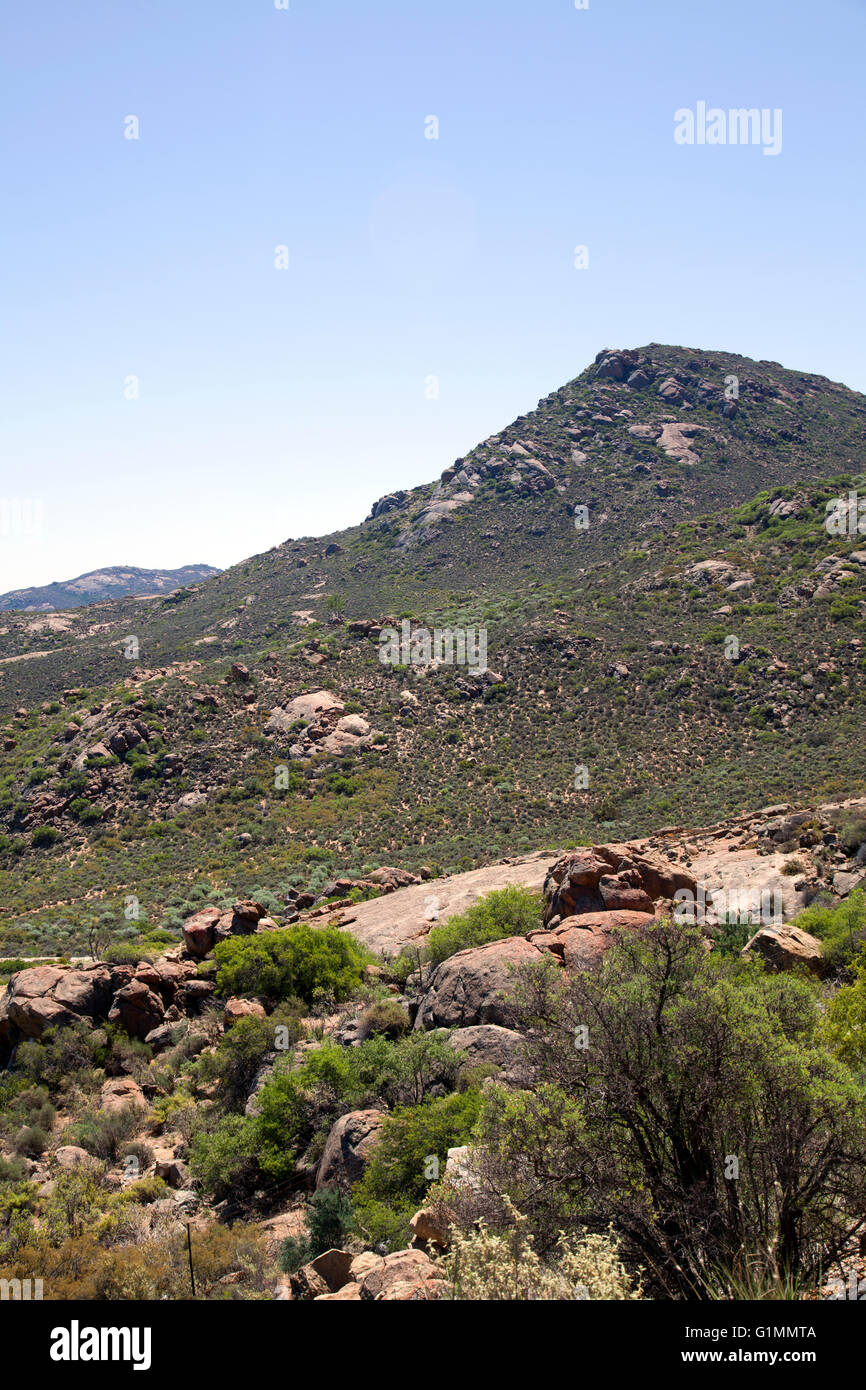 Northern Cape terreno Namaqualand - Africa del Sud Foto Stock