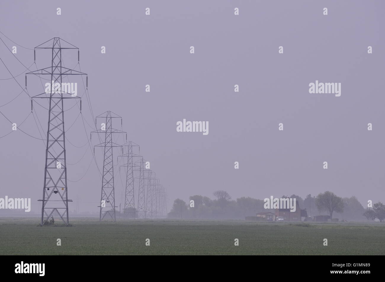 Su Holbeach Marsh a sud di Holbeach St Marks, sud Lincolnshire Fagnes, REGNO UNITO Foto Stock