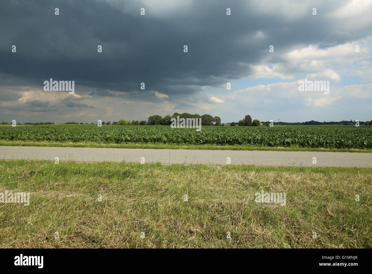 Nuvole scure su soleggiate giornate estive nel Meclemburgopomerania Occidentale, Germania. Foto Stock